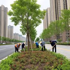 世界杯官网 利川绿化市容管理事务中心